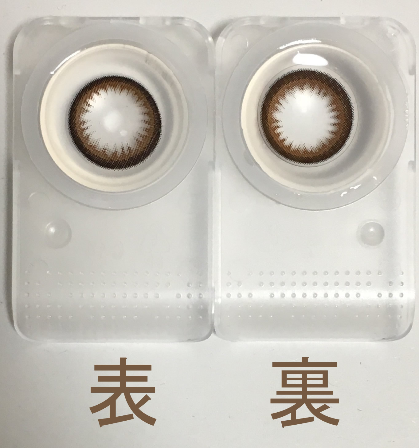 シルエットキャメル4