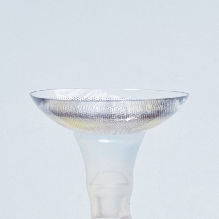 ルーナーオリーブ6